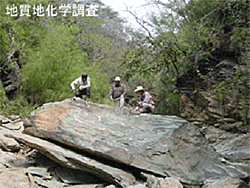 地質地化学調査